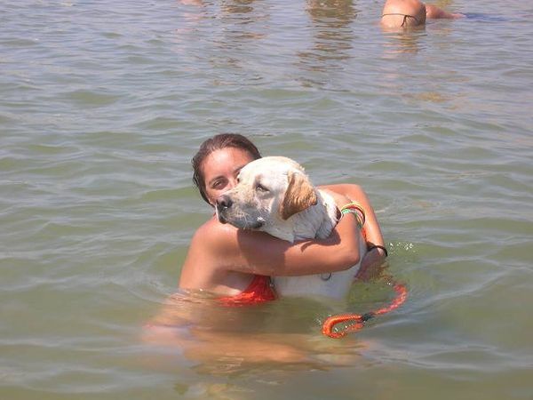 Dog Beach - Lido Azzurro - foto 21488.jpg