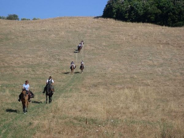 Agricampeggio Il Colono - foto 21740.jpg