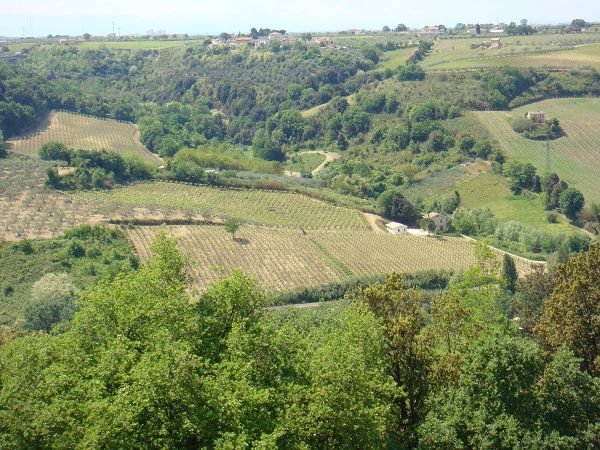 Agriturismo Casa dellOrto - foto 5757.jpg