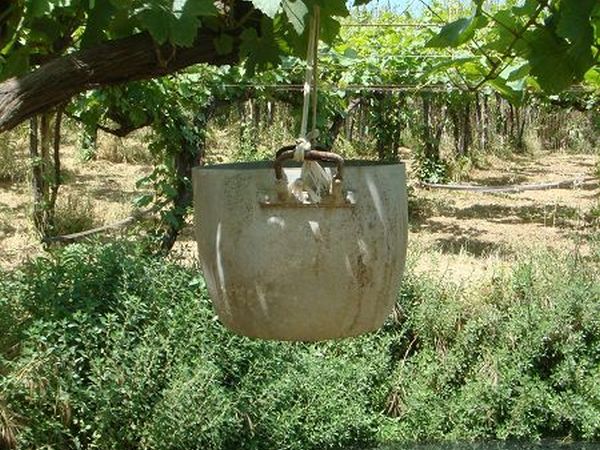 Agriturismo Casa dellOrto - foto 5758.jpg