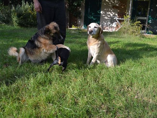 Agriturist Prile - foto 22006.jpg