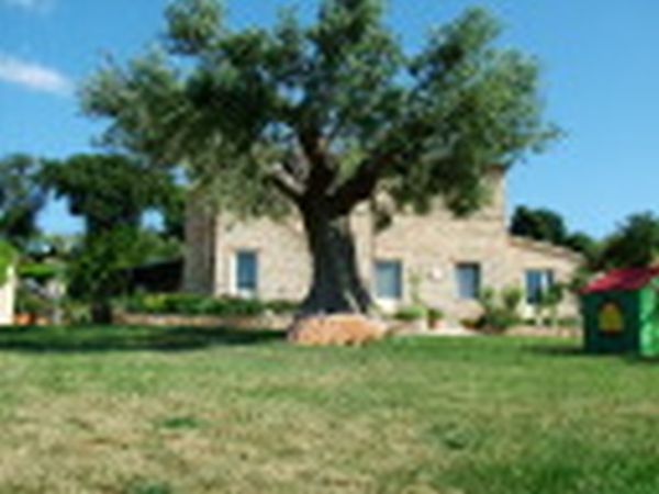 Agriturismo Casealsole - foto 5760.jpg