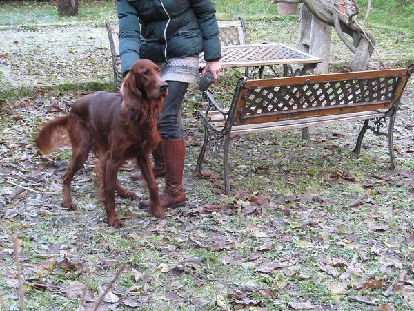 Bonclerici House - foto 22079.jpg