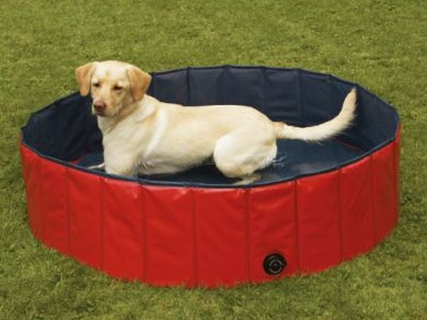 Casa Marta - foto 22125.jpg