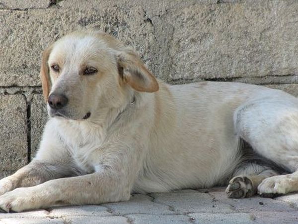 Casa Vacanza San Luca  - foto 22310.jpg