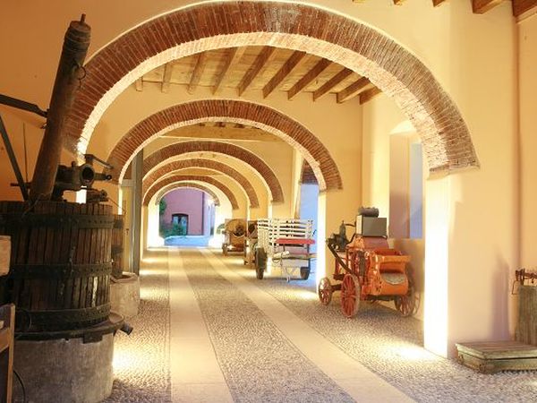 Agriturismo la Filanda - foto 22342.jpg