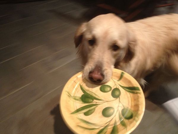 Agriturismo SS Annunziata - foto 22372.jpg