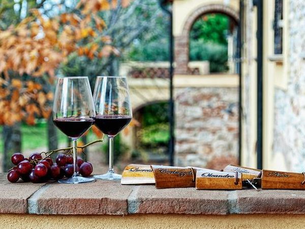 Agriturismo Il Piaggione - foto 22406.jpg