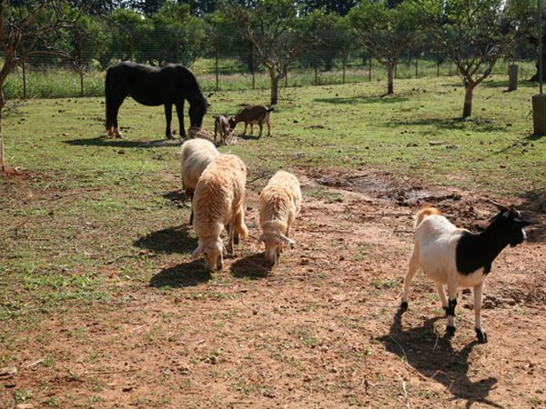 Case di Latomie - foto 22427.jpg