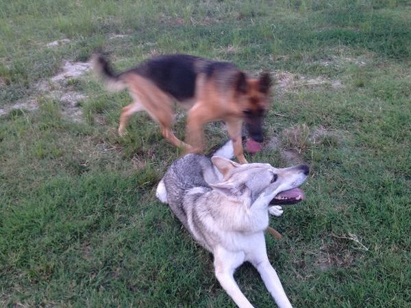 B&B Ciliegio Felice - foto 22451.jpg