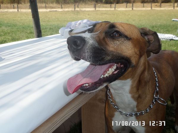 Eden Salento Agri Beach  - foto 22458.jpg