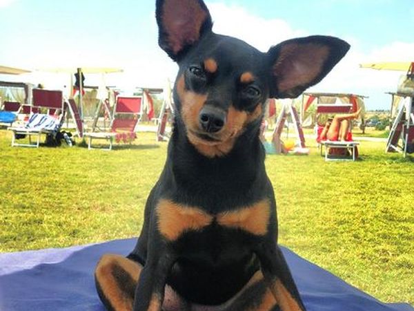 Eden Salento Agri Beach  - foto 22459.jpg