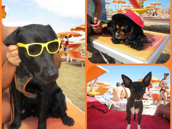 Spiaggia Bagno 39 Cigno - foto 22703.jpg