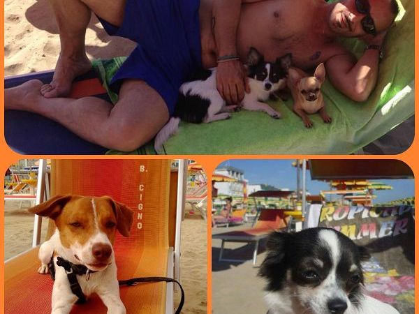 Spiaggia Bagno 39 Cigno - foto 22704.jpg