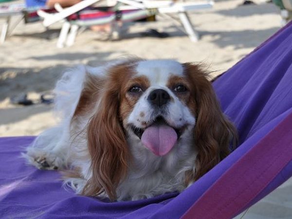 Bagno Egisto 38 - foto 22725.jpg