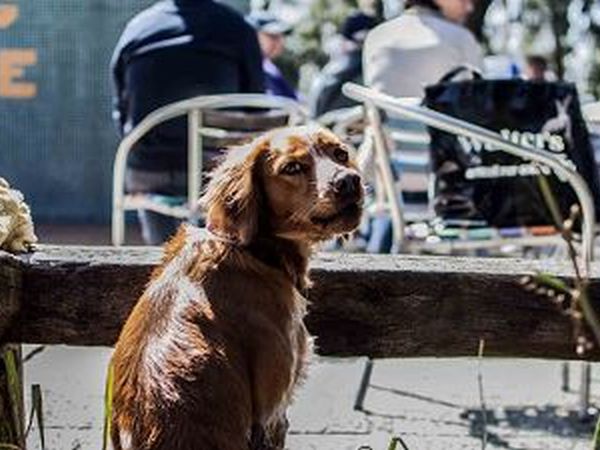 Plana Resort - foto 22746.jpg