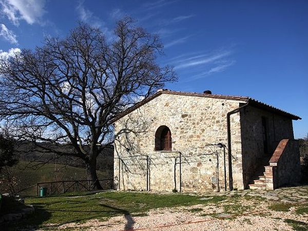 Azienda Agricola Podere Tremulini - foto 22777.jpg