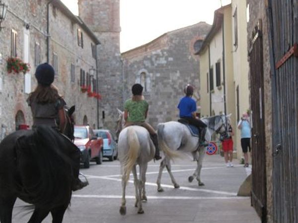 Azienda Agricola Podere Tremulini - foto 22779.jpg