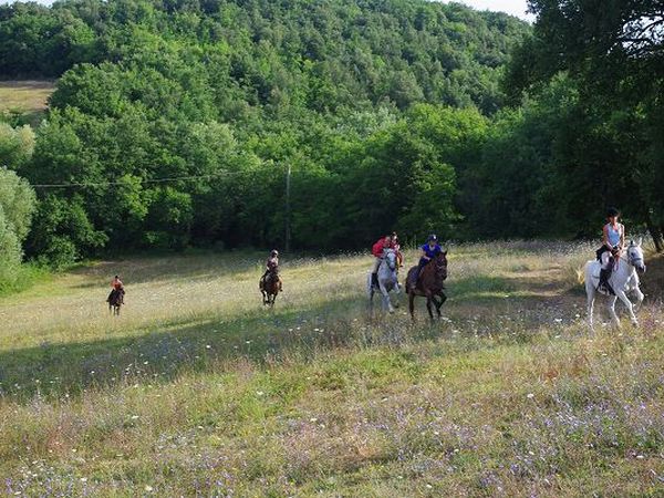 Azienda Agricola Podere Tremulini - foto 22782.jpg
