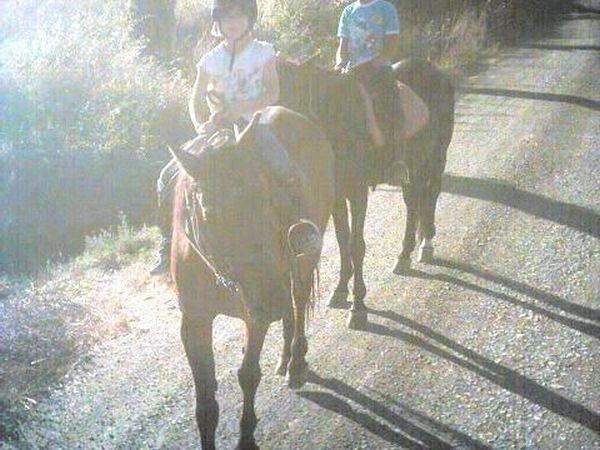 Azienda Agricola Podere Tremulini - foto 22783.jpg
