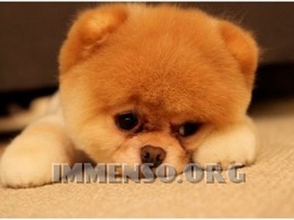 Campeggio Souvenir - foto 22789.jpg