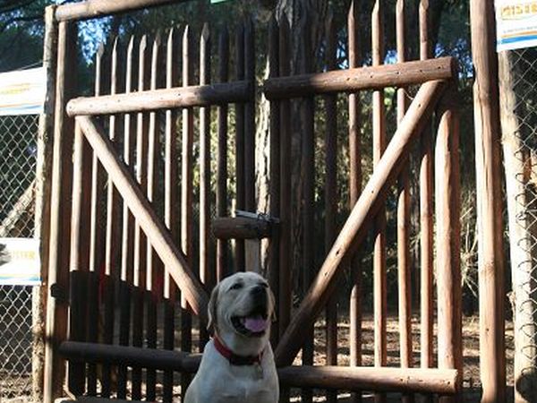 Cieloverde Camping Village - foto 22814.jpg