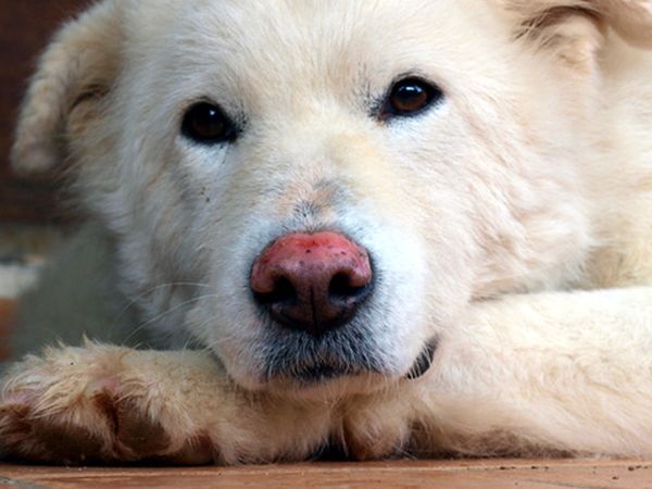 B&B il Casalino - foto 6006.jpg