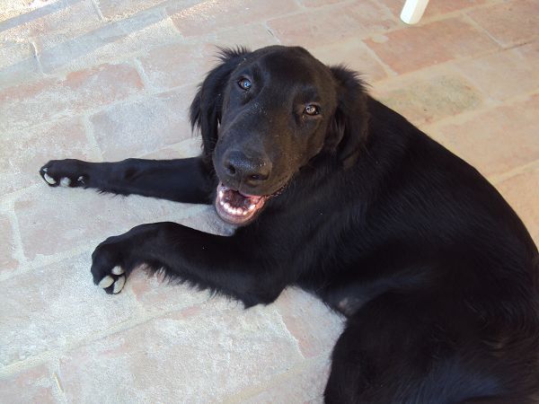 Agriturismo Calagrana - foto 22944.jpg