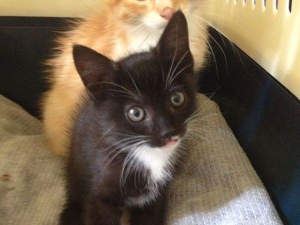 Agriturismo Calagrana - foto 22945.jpg