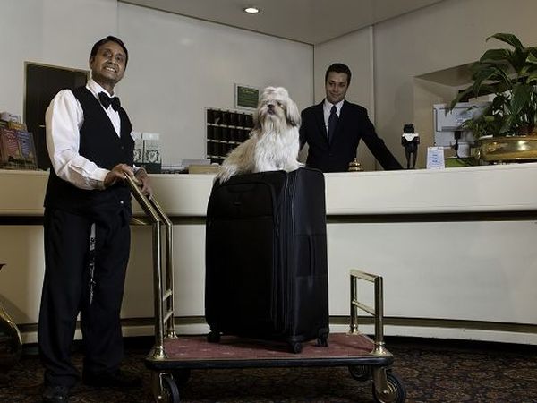 Hotel Panama Garden - foto 6087.jpg