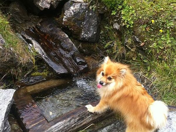 Hotel Sonja - foto 23052.jpg