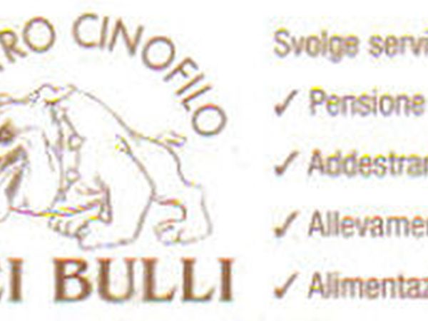 Paoli Hotel - foto 6052.jpg