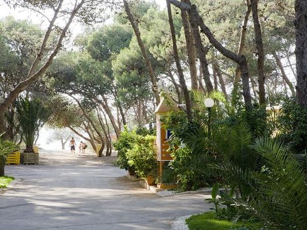 Camping La Vecchia Torre - foto 23132.jpg