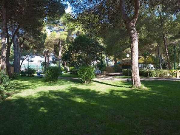 Camping La Vecchia Torre - foto 23133.jpg