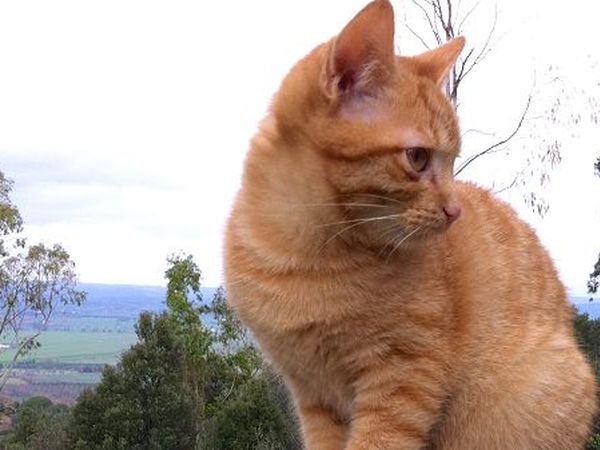 BeVedetta - foto 23147.jpg