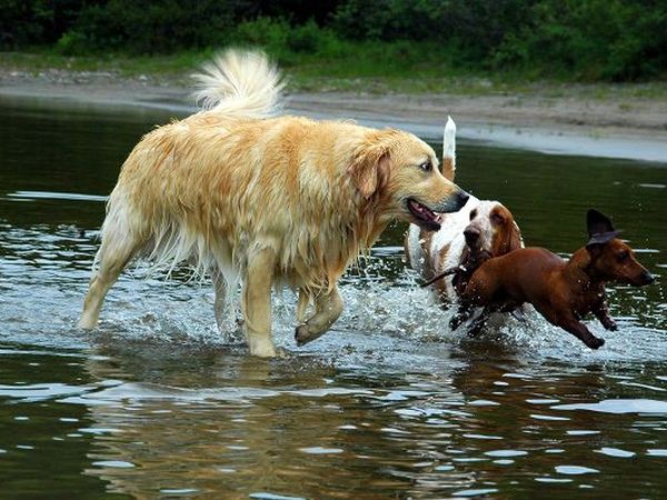 Casale Fedele Bed&Breakfast - foto 23185.jpg