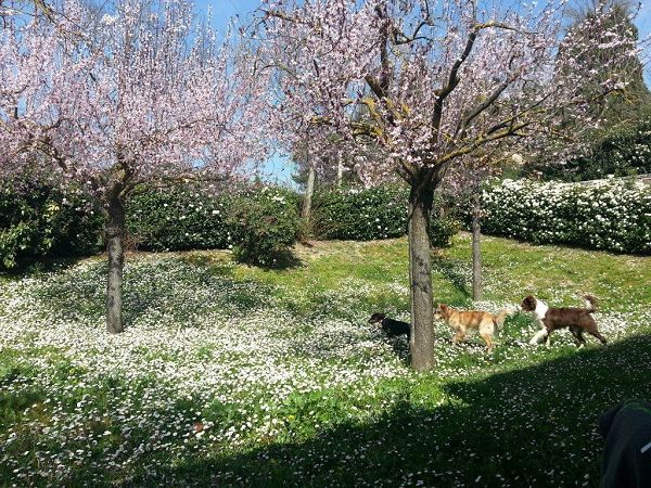 La Rocca di Mantignana - foto 23529.jpg