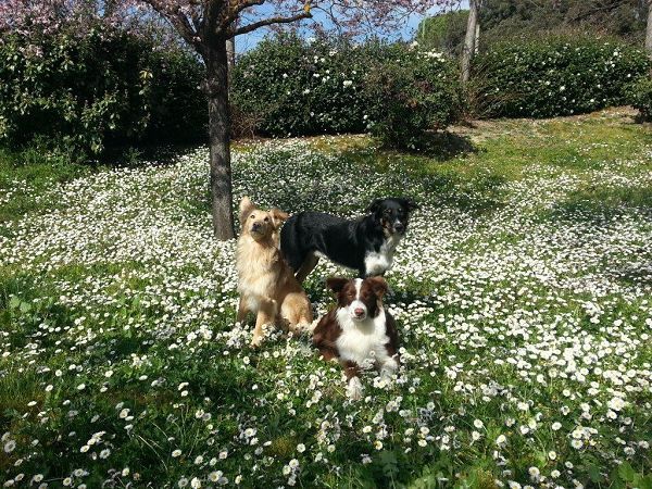 La Rocca di Mantignana - foto 23539.jpg