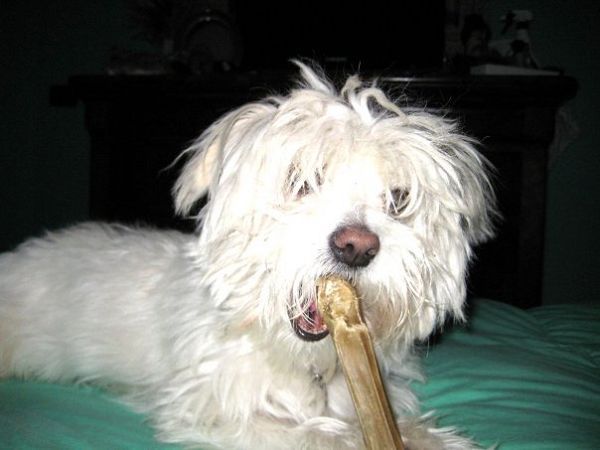 Hotel Tina - foto 23567.jpg