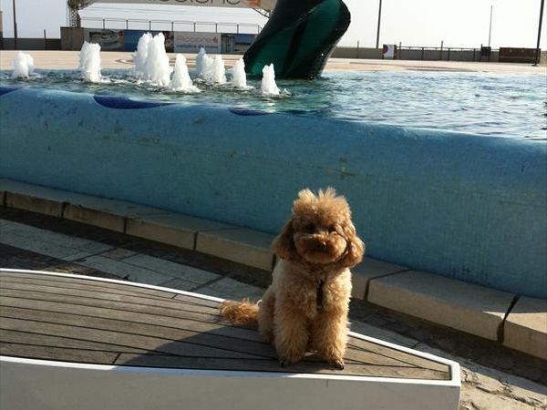 Hotel Michelangelo - foto 23621.jpg