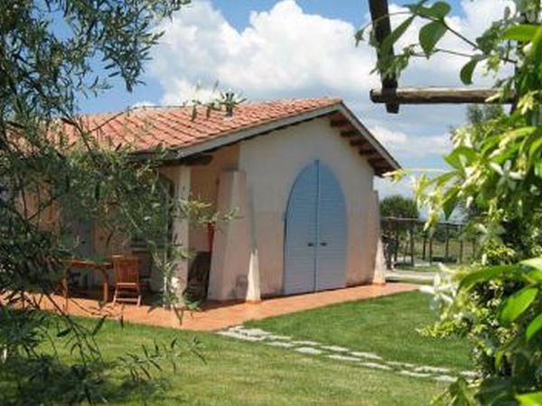 Azienda Agricola il Borgo degli Ulivi - foto 23706.jpg