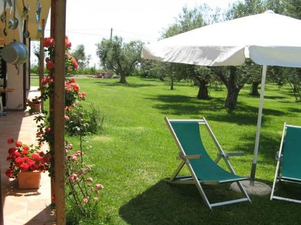 Azienda Agricola il Borgo degli Ulivi - foto 23708.jpg