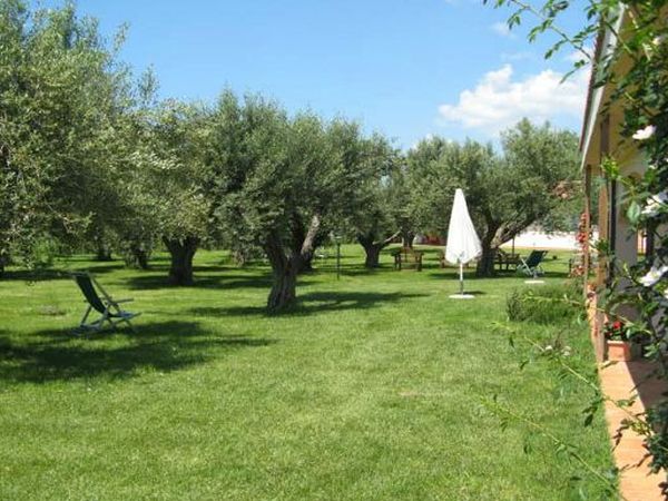 Azienda Agricola il Borgo degli Ulivi - foto 23709.jpg