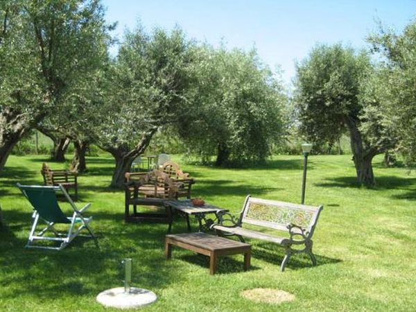 Azienda Agricola il Borgo degli Ulivi - foto 23710.jpg