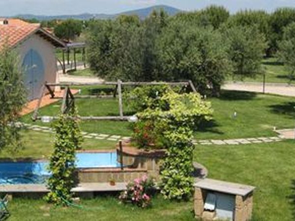 Azienda Agricola il Borgo degli Ulivi - foto 23711.jpg