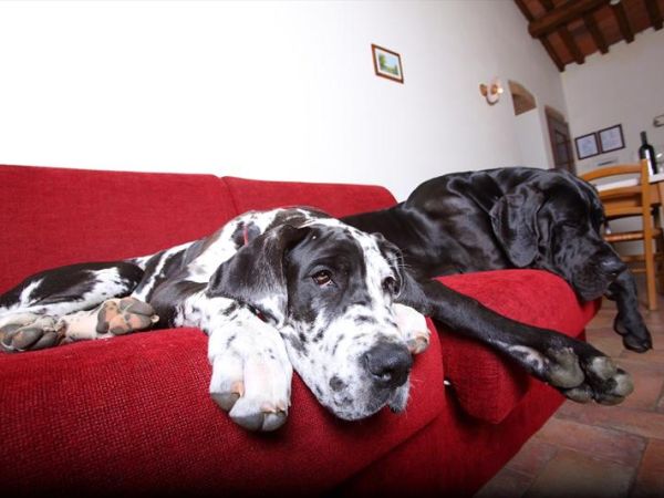 Residence Casale Voltoncino - foto 23729.jpg