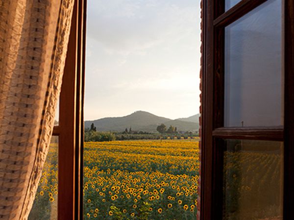 Bio Agriturismo La Cortevilla - foto 23746.jpg