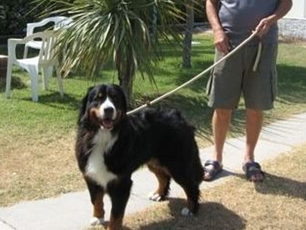 Marebello - foto 23817.jpg