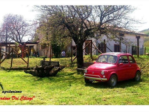 Il Giardino dei Ciliegi - foto 23921.jpg