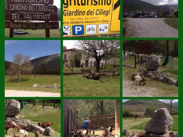 Il Giardino dei Ciliegi - foto 23924.jpg